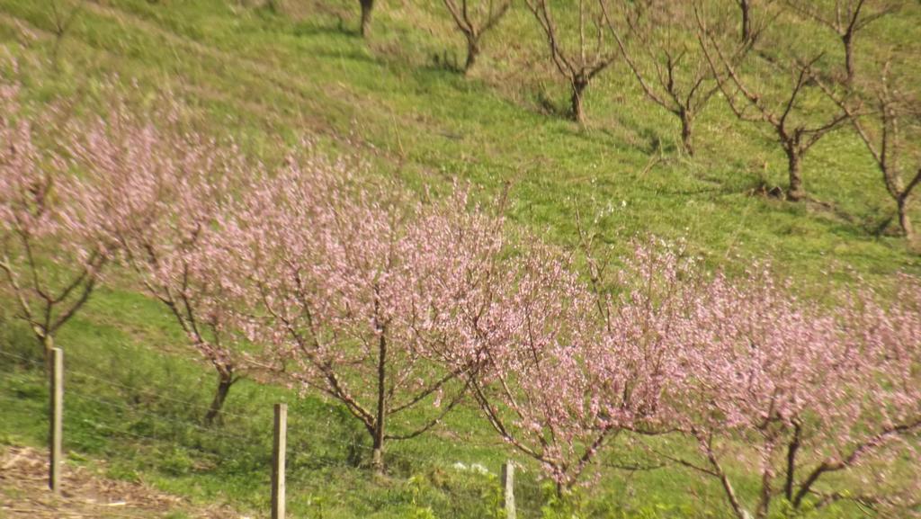 Pousada Pica Pau Урубиси Экстерьер фото